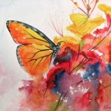 Butterflies.jpg